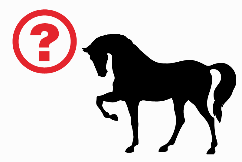 Verdwijningsalarm Paard Vrouwtje , 2024 jaar Saint-Brieuc Frankrijk